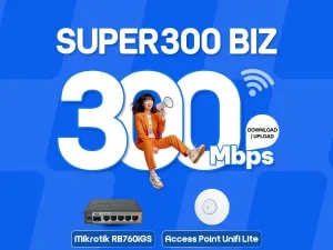 SUPER 300 BIZ