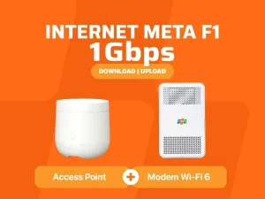 INTERNET META F1